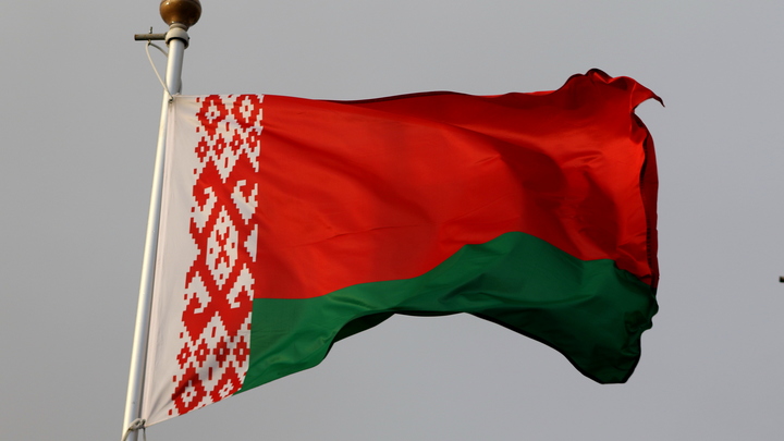 Торги начались. Германия ведёт переговоры с Белоруссией по спасению своего наёмника