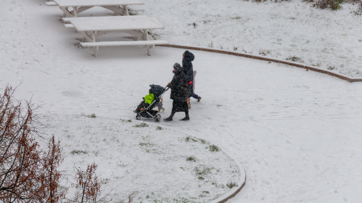 Приём заявлений на продление Единого пособия стартовал в Новосибирской области