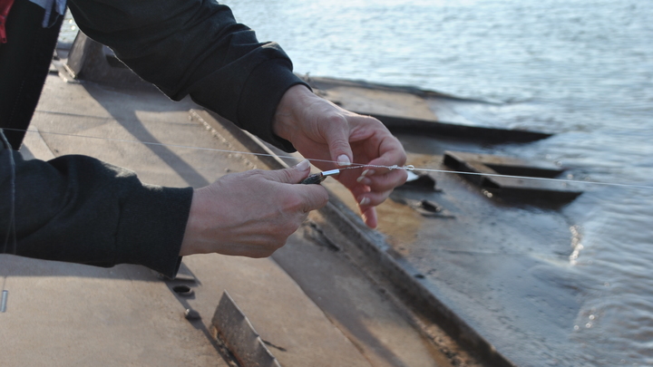 В Ростовской области появится гигантский рыбный рынок