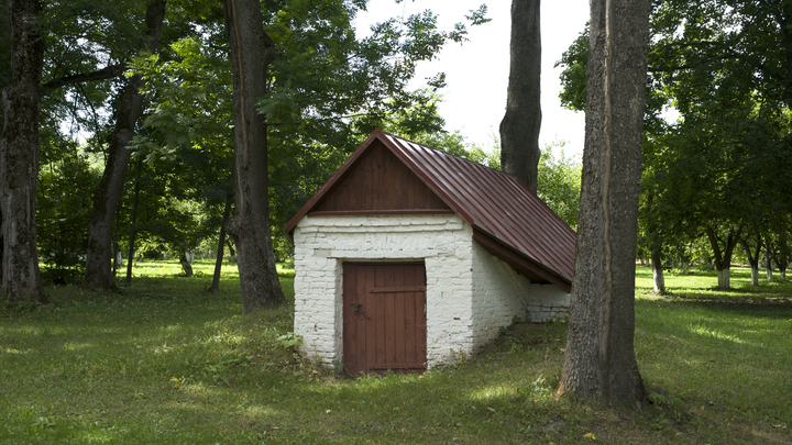 Семья задохнулась угарным газом в собственном погребе