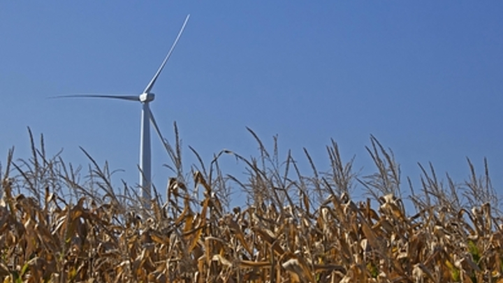 Экономист: Американцы не смогли начать зелёную революцию