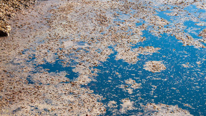 Обнаружены останки умершего более 2 тысяч лет назад подростка