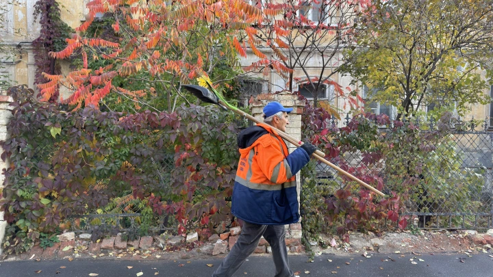 Вакансия дворника в Балашихе за 85 тысяч: за что столько платят работникам метлы