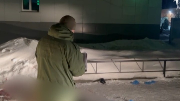 В Домодедово задержали подозреваемого в пьяной расправе над водителем скорой