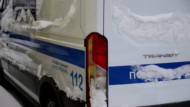 Пьяный автолюбитель на Урале сбил двух женщин на пешеходном переходе