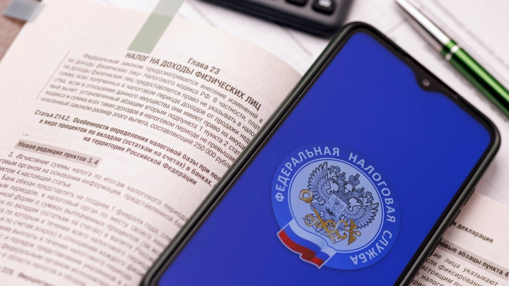 Экономист предложил ввести в России НДФЛ для рантье и бездельников