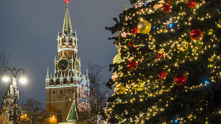 Депутат предложил начать новогодние каникулы с 27 декабря