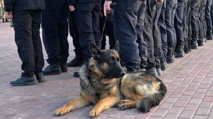 В Курган вернулась колонна сотрудников Росгвардии после участия в спецопрации на Украине