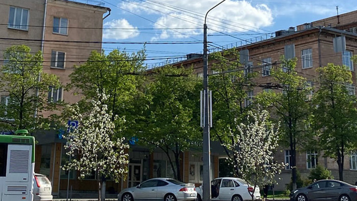 На проспекте Ленина в Челябинске зацвели яблони