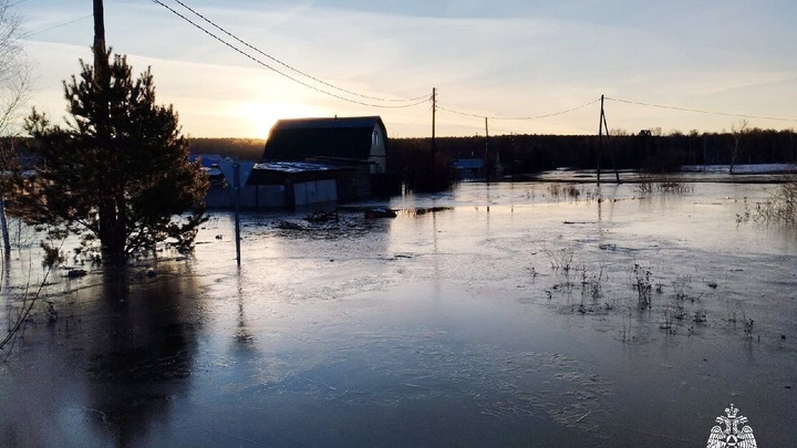 Молодожёны едва не пропустили собственную свадьбу из-за паводка