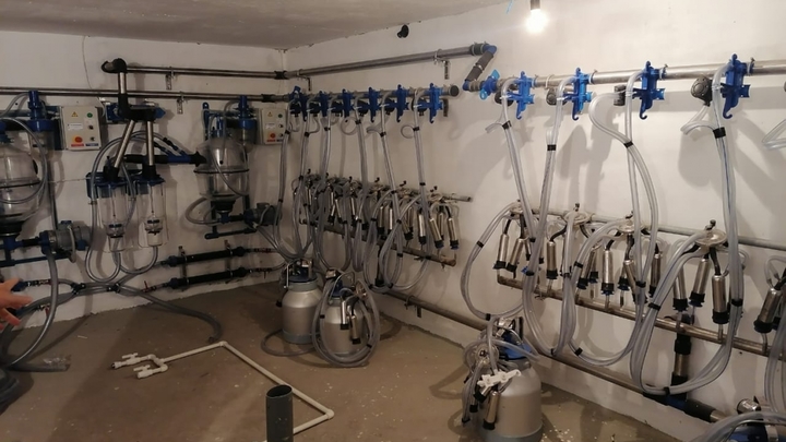 В Курганской области откроется новая молочная ферма