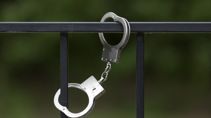 В Петербурге задержали пятерых фигурантов от 16 до 18 лет по делу о нападении