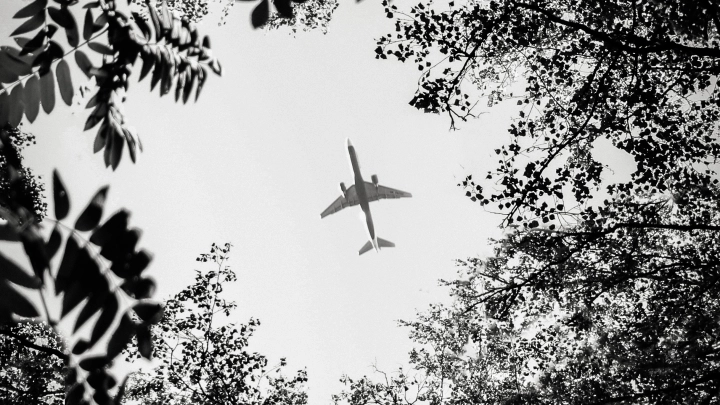 Американский длинный нос всех переиграл? Да, но есть нюанс