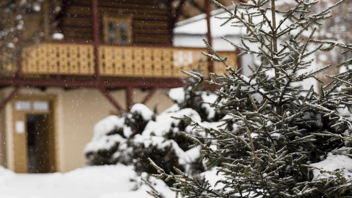Новосибирских дачников предупредили о новой схеме обмана под видом правления СНТ