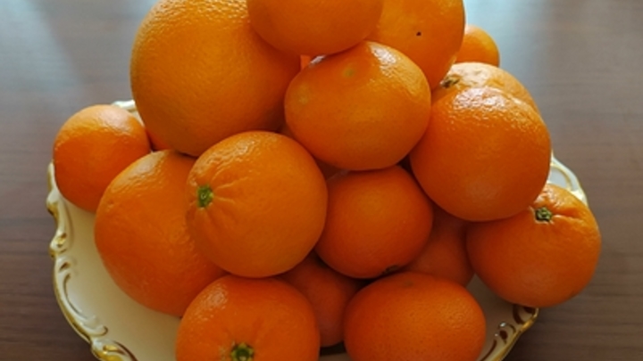Турцию поймали на поставке в Россию опасных мандаринов