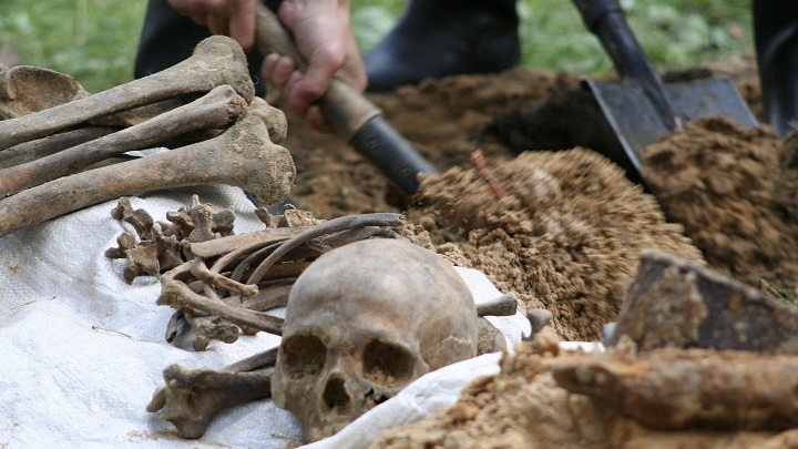 Родине – память, себе – копеечку. Как работают серые копатели