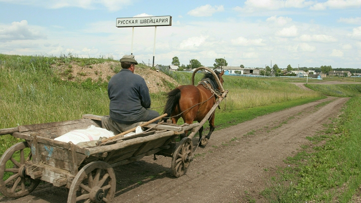 Пастух к успеху шел: житель Челябинска пытался заработать на самарской ферме