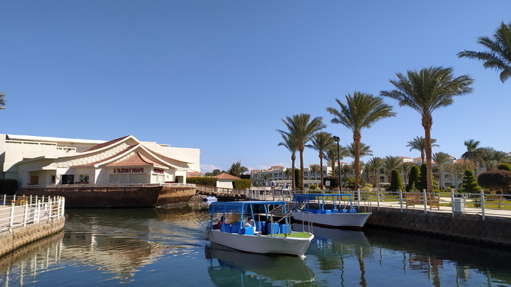 Сочи признан самым дорогим городом для жизни на Юге России