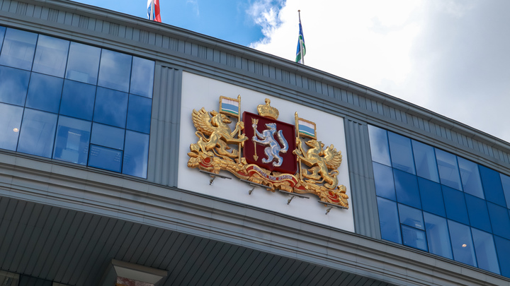 Свердловские власти отреагировали на историю с избиением девочки детьми мигрантов в Нижнем Тагиле