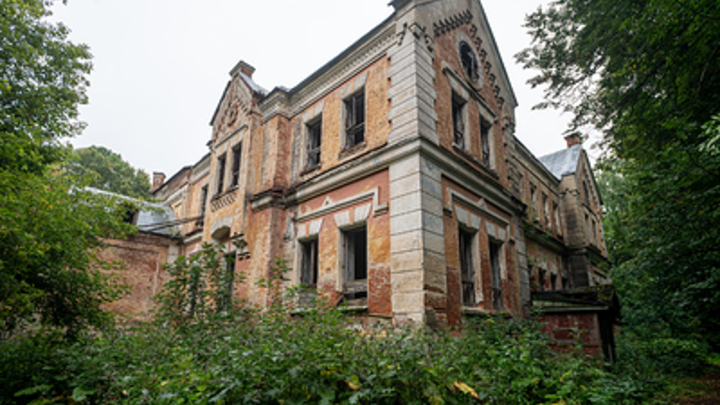 Метеоролог: Бабье лето нагрянет в Тульскую область во второй половине сентября