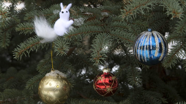 Веры в чудо недостаточно: Психолог подсказала, как правильно загадывать желания