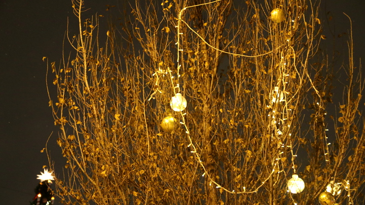 Какой сегодня праздник — на календаре 9 января