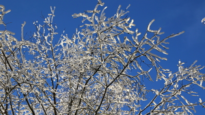 На Кубани ударит мороз до -7 градусов