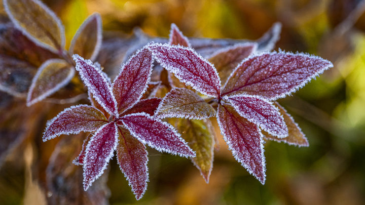 В горах Краснодарского края ожидается мокрый снег и похолодание до -5 градусов