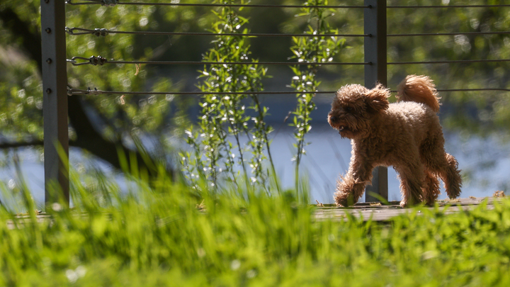 Собянин сообщил о росте популярности эковолонтёрства у молодёжи Москвы