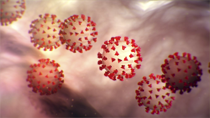 Американские учёные похвастались стопроцентным блокиратором коронавируса: Точно работает