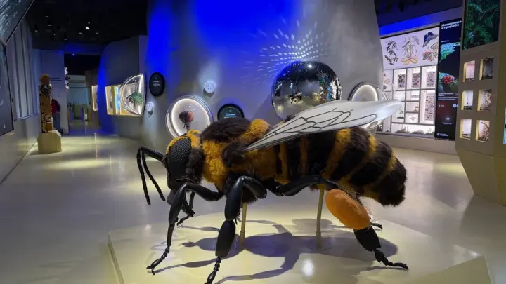 Гости Биокластера на ВДНХ могут познакомиться с удивительным миром насекомых