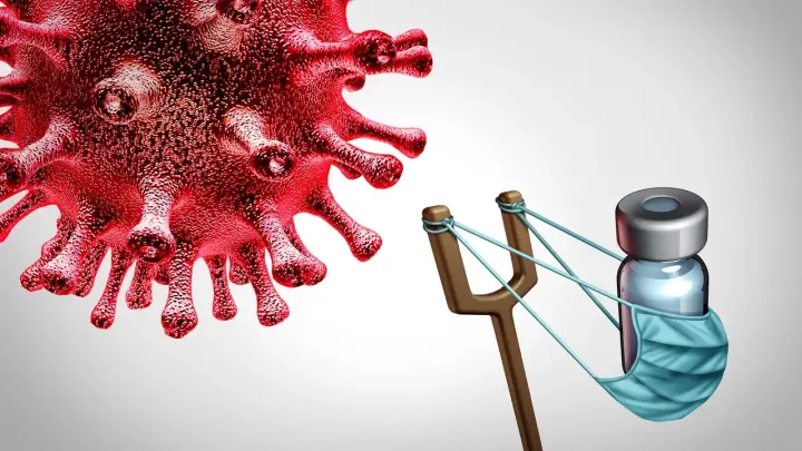 В Индии произошла вспышка вируса Нипах, не имеющего вакцины и лечения