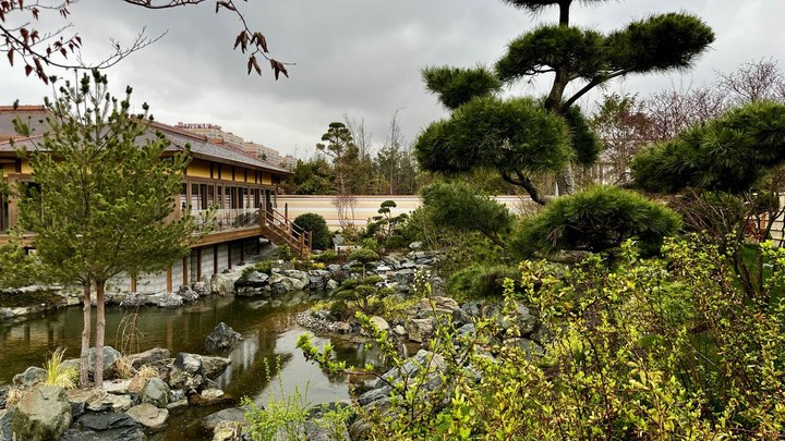 После открытия Японского сада в парке Краснодар трафик вырос в 1,5 раза