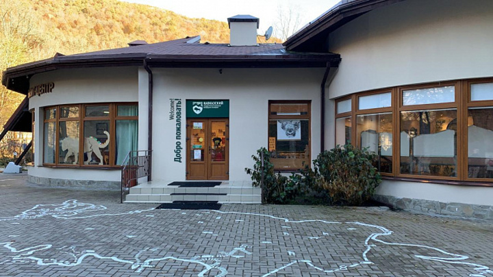 В Кавказском заповеднике Сочи готовят новогоднюю программу для туристов