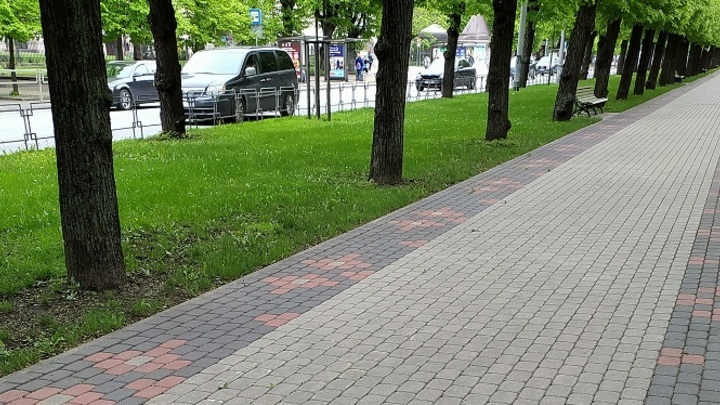 В Новосибирске появится парк по проекту известного французского архитектора