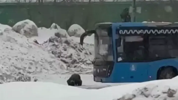 Вера или агрессия? Религиозные обряды переходят границы разумного