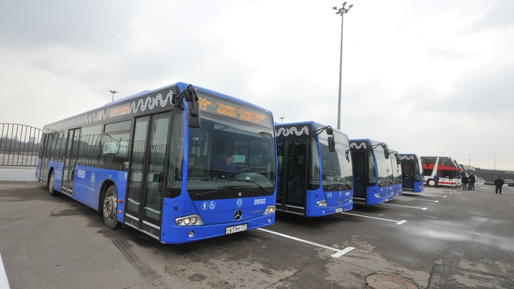Власти Екатеринбурга закупят 30 новых автобусов