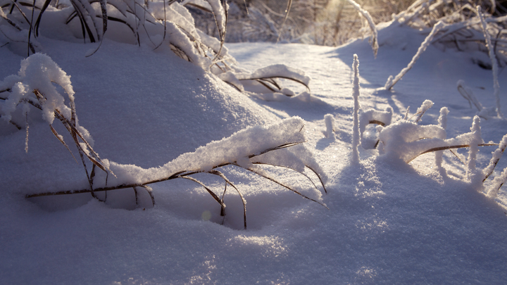 Народные приметы на 15 декабря — день пророка Аввакума: яркие звёзды — к морозной погоде