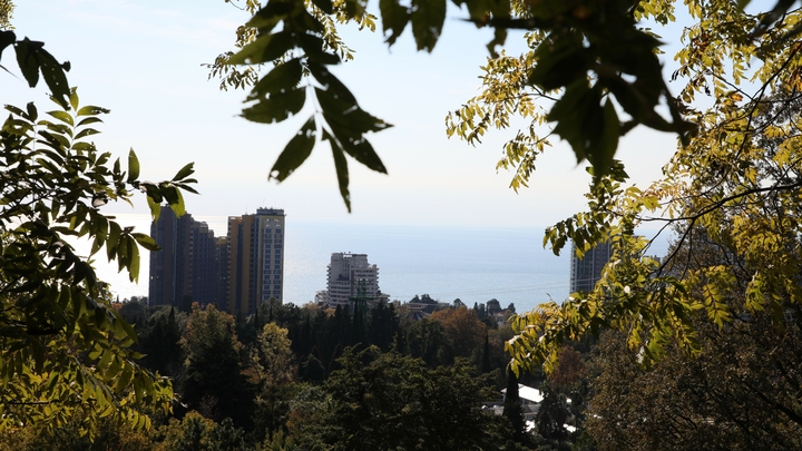 В Сочи увеличили курортный сбор. Депутаты оправдались: Это ожидаемо