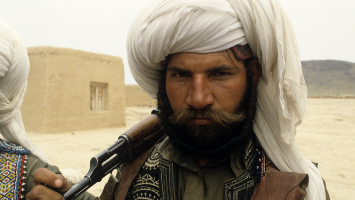 Австрийский политик увидел в терактах шанс против России: Мы должны вооружить исламистов