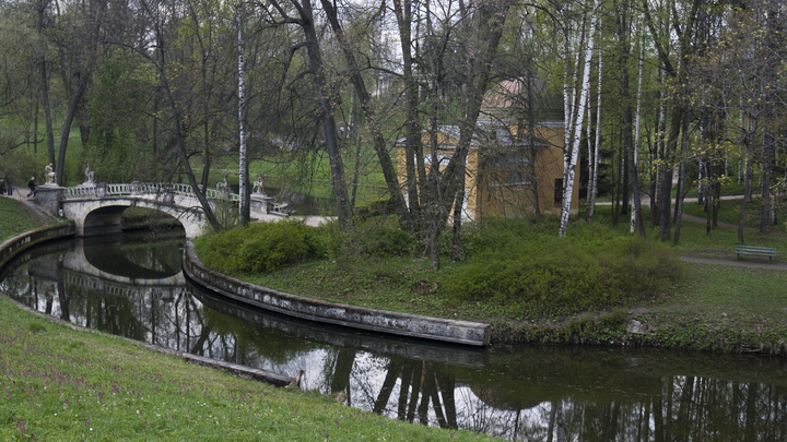 Будут заморозки: жителей Ленобласти призвали готовиться к похолоданию