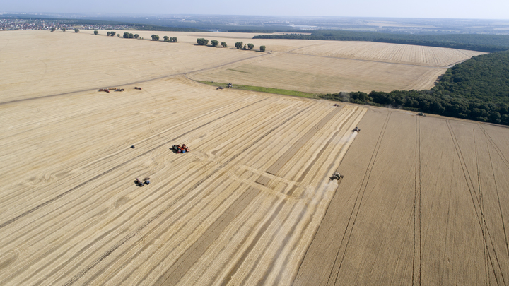 Россия выставила ультиматум по зерновой сделке. У Запада ровно два месяца