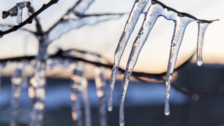 Даже Якутию ждёт зимняя жара: О шутках необычной зимы рассказал Вильфанд