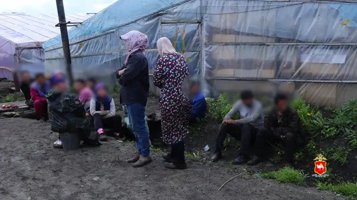 Нелегальных мигрантов поймали в теплицах Аргаяшского района
