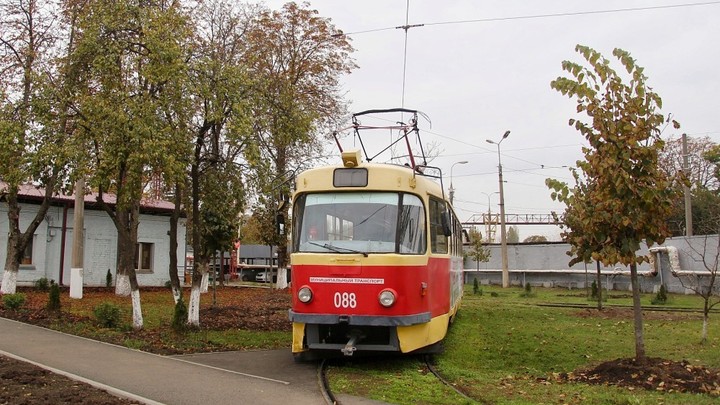 В Западное трамвайное депо Краснодара с улицы Московской пересадили 64 липы