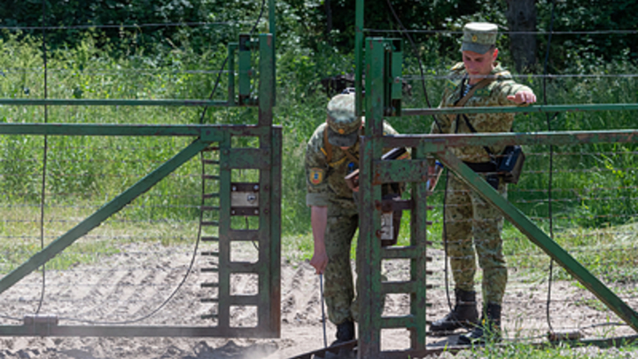 Старовойт: шесть украинских пограничников сдались в плен на границе Курской области