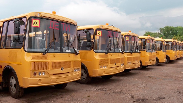 Сельские школы Подмосковья получили 17 новых автобусов