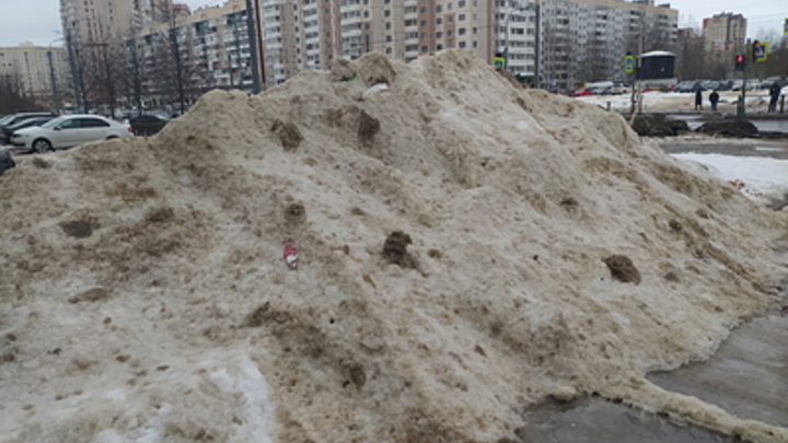 В Самаре снег вывозят на полигон рядом с жилыми домами