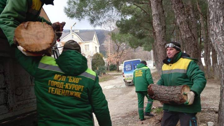 В Геленджике оперативные службы получили сразу около 300 заявок от граждан