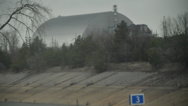 Лихачёв: Удар по АЭС Бушер породил бы катастрофу уровня Чернобыля